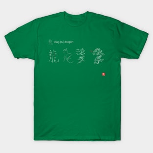 How to train a dragon! (in Chinese) T-Shirt